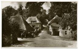 COCKINGTON FORGE - Torquay