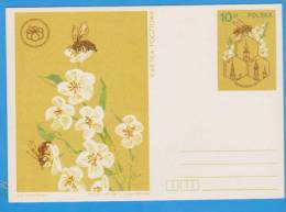 Abeilles,  Bee, Insects Poland Postal Stationery Postcard - Abeilles