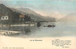 Mars13 57 : Lac De Walenstadt - Walenstadt