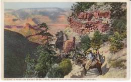 Bright Angel Trail Grand Canyon AZ Arizona, Fred Harvey Detroit Publishing Co. C1910s/20s Vintage Postcard - Grand Canyon