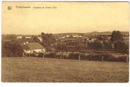 Postkaart / Carte Postale "Froidchapelle - Panorama Du Champ Colin" - Froidchapelle
