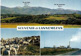 SOUVENIR DE LANNEMEZAN 65 - Multivues - A 534 - W-1 - Lannemezan