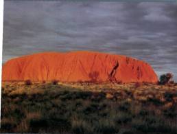 (670) Australia - NT  - Ayers Rock - Uluru - Uluru & The Olgas