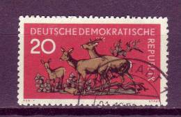 Allemagne RDA YV 455 O 1959 Biche - Animalez De Caza
