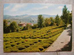 Italia   Deutscher Soldatenfriedhof Costermano   -Verona  D101284 - Cimiteri Militari