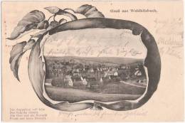 Gruß Aus Waldhilsbach Neckargemuend Jugendstil Gesamtansicht Apfel Passepartout Karte 13.8.1905 - Neckargemuend