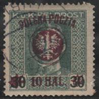 POLONIA 1919 - Yvert #101a - VFU (sobrecarga Violeta) - Used Stamps