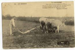 Série  " AU BERRY " . - Le Labourage. Superbe Cliché - Cultures