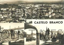 PORTUGAL - CASTELO BRANCO - QUATRO ASPECTOS DA CIDADE - 50S REAL PHOTO PC. - Castelo Branco
