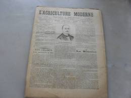 L´Agriculture  Moderne  N ° 85 15 Aout 1897 - Revues Anciennes - Avant 1900