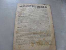 L´Agriculture  Moderne  N ° 49  6  Decembre 1896 - Revues Anciennes - Avant 1900