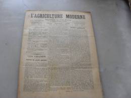 L´Agriculture  Moderne  N ° 45  8  Novembre  1896 - Revues Anciennes - Avant 1900