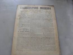 L´Agriculture  Moderne  N ° 44  1 Novembre  1896 - Magazines - Before 1900