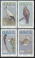 South Africa SA Venda 1984 Birds Bird White Stork Wood Sandpiper Animal Nature Stamps MNH Michel 91-94 SA-Venda 108-111 - Storchenvögel