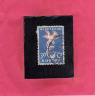 NETHERLANDS - PAESI BASSI - HOLLAND - NEDERLAND - OLANDA 1958 EUROPA USED - Used Stamps