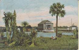 Litho Daytona Fla. Public Library House Palm Juni-19-1908 - Daytona