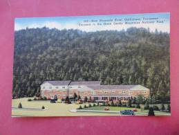 Tennessee > Gatlinburg  New Riverside Hotel  Linen--ref 873 - Altri & Non Classificati