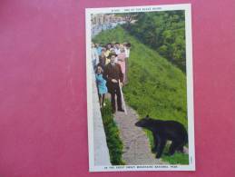 Black Bear In Great Smoky Mountain National Park Linen             --ref 874 - Bears