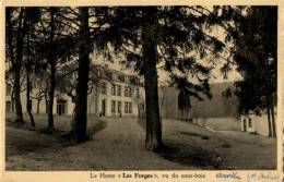 BELGIQUE - LUXEMBOURG - SAINT-HUBERT - ARVILLE - Le Home "Les Forges", Vu Du Sous-bois. - Saint-Hubert