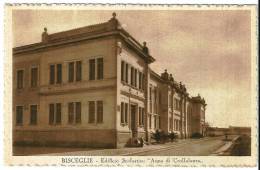 BISCEGLIE (BA) - EDIFICIO SCOLASTICO "ANNA DI CROLLALANZA" - F/P - N/V - Bisceglie