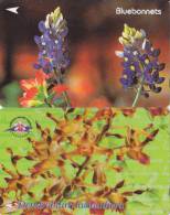 Delcampe - Singapour 2 Cartes Thème Fleurs - Flowers - Singapur