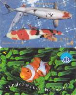 Delcampe - Singapour 2 Cartes Thème Poissons - Fishes - Singapur