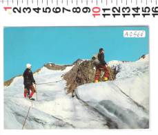 Delcampe - A0566 ALPINISTI GRUPPO ORTLES CEVEDALE VEDRETTA DI DOSEGU - Alpinismus, Bergsteigen