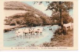 Le Morvan Pittoresque. Un Coin Champêtre : A L'abreuvoir. - Bourgogne