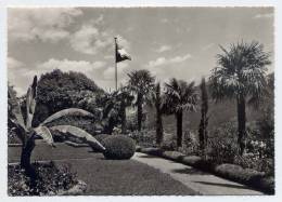 Suisse-TI----BRISSAGO - Hotel Brenscino, Gartenanlagen ,cpsm 10 X 15  Foto Kuchler - Brissago