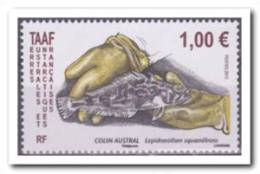 TAAF 2013 Postfris MNH Fish - Nuovi