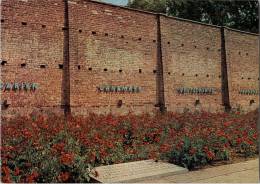 AK Ravensbrück, Gedenkstätte, Lagermauer Mit Dem Rosenbeet, Beschr, 1967 - Fuerstenberg