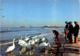 AK Rostock-Warnemünde, Winter Am Strand, Gel, 1979 - Rostock