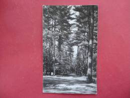 Rppc  By Cook---- Little Falls Mn--- EKC Box   Drive In Pine Park=====      ===ref 876 - Other & Unclassified