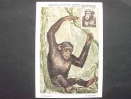 Französisch Westafrika 91 Maximumkarte MK/MC, Ts 12.9.55, Schimpanse (Pan Troglodytes) - Other & Unclassified