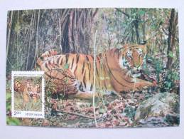 Indien 971 Maximumkarte MK/MC, ESST Neu Delhi, Tiger (Panthera Tigris) - Briefe U. Dokumente