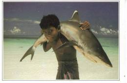 CPM Maldives Islands Jeune Pecheur Requin à Pointe Blanche - Maldives