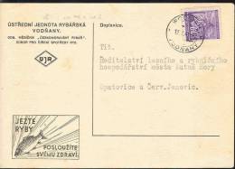 Bohemia And Moravia 1941 - Fish And Fishing - Special Postal Stationery, Postage Used - Other & Unclassified