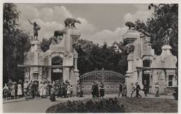 Carl Hagenbeck`s Tierpark Hamburg Stellingen  -  Haupteingang  A-1558 - Stellingen