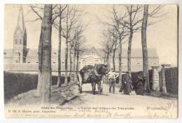 E1796 - Westmalle - L'entrée De L' Abbaye Des Trappistes - Malle