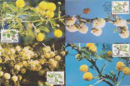Bophuthatswana 1992 Acacia_Trees Set 4 Maximum Cards - Bophuthatswana