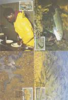 Ciskei 1989 Trout Hatcheries Set 4 Maximum Cards - Ciskei