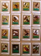 UMM AL QIWAIN Papillons +insectes + Abeille. 16 Mini Blocs Avec Bordure Blanche ** MNH Perforate - Andere & Zonder Classificatie