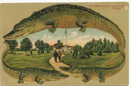 Jacksonville Hemming Park S 597 Edit Langsdorf Alligator Embossed Frame Crocodile Gaufrée - Jacksonville