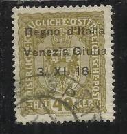 ITALY ITALIA VENEZIA GIULIA 1918 SOPRASTAMPATO AUSTRIA OVERPRINTED HELLER 40 H USED USATO OBLITERE' - Vénétie Julienne