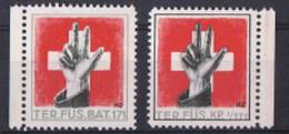 FP 413 - Troupes Territoriales - TER. FÜS. BAT. 171 + I/171 Neufs - Labels