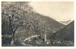 Intragna - Frühling Im Centovalli             Ca. 1930 - Centovalli