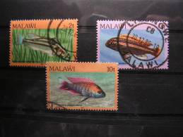 == Malawi Fische Lot - Malawi (1964-...)