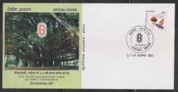 India  2011  375 Years Old Banyan Tree, Vadodra  Special Cover # 43001  Indien Inde - Lettres & Documents