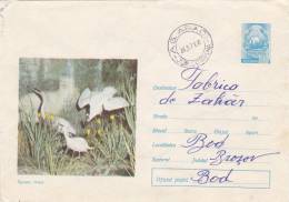 EGRETA MARE, EGRET, 1971, COVER STATIONERY, ENTIER POSTAUX, ROMANIA - Cicogne & Ciconiformi