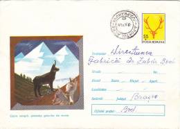 CAPRA NEAGRA, CHAMOIS, 1972,COVER STATIONERY, ENTIER POSTAUX, ROMANIA - Game